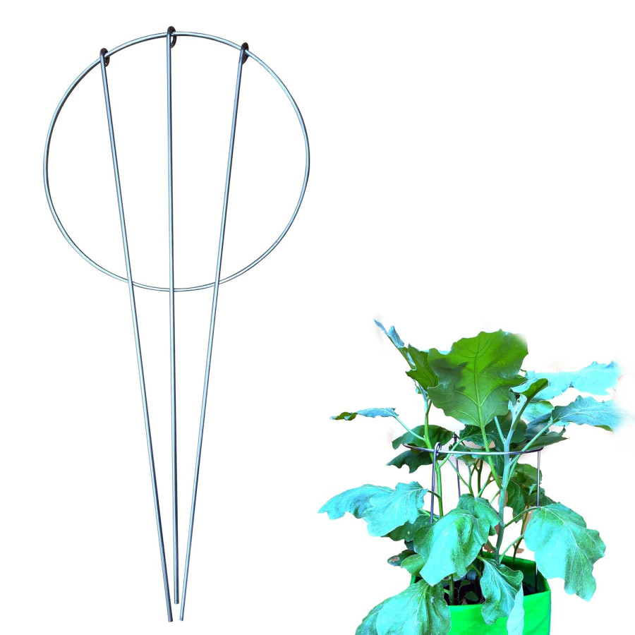 Plant Support Stakes: Garden Stem Stand  | Stainless Steel 46cm Long - Pack of 1