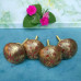 Red Brass Knobs for Cabinets, Drawers, Dresser Door & Pulls - Set of 4