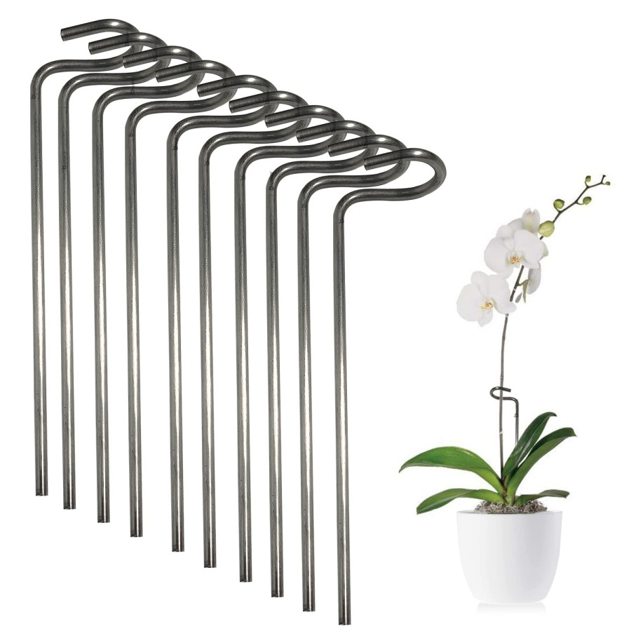 Stainless Steel Plant Support Stakes – 6 Inch Garden Stakes (Pack of 10)